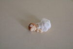 Bábätko biele – Obrázok 2